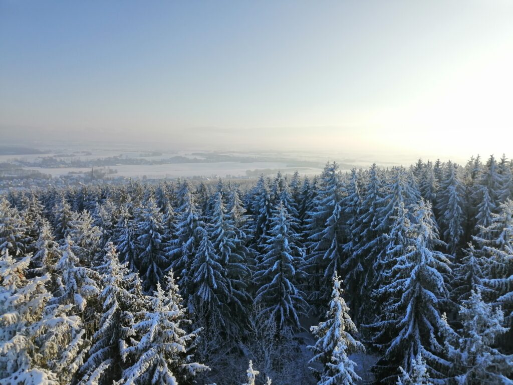 Rabensteiner Winterwald