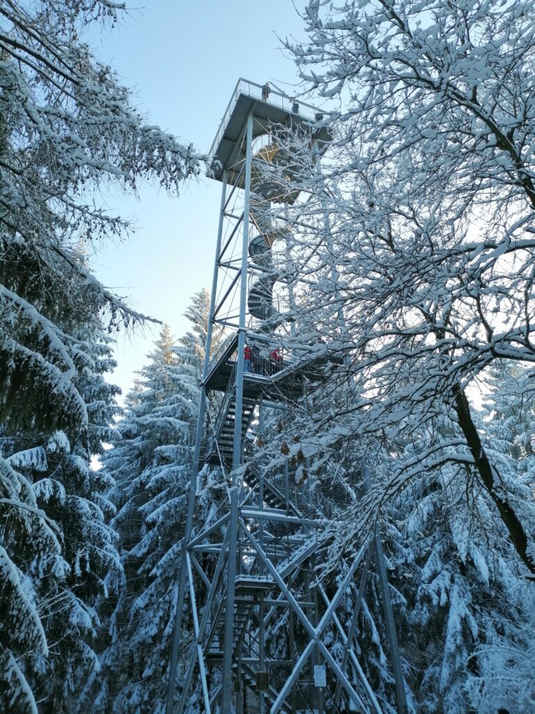 Aussichtsturm im Rabensteiner Wald im Winter